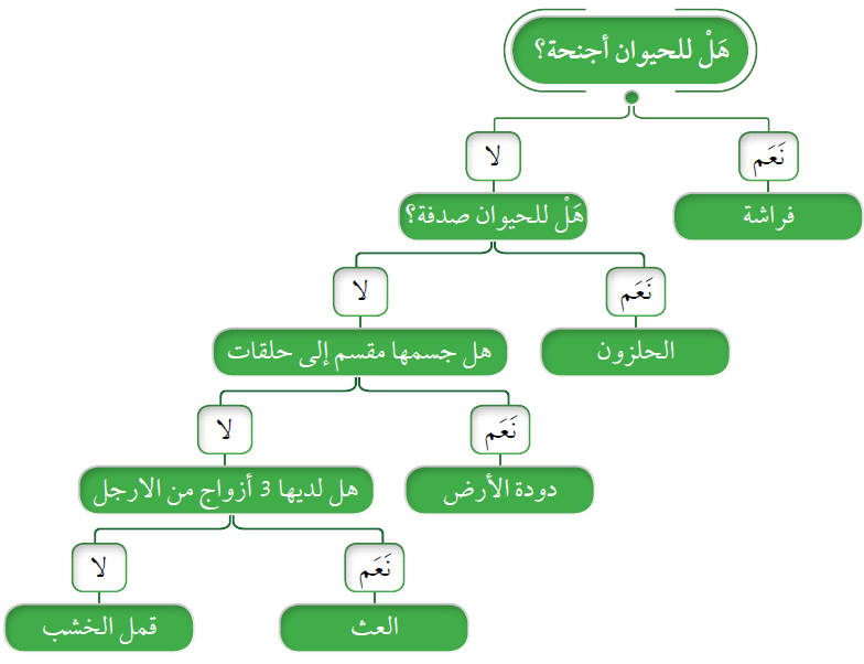 مفتاح التصنيف